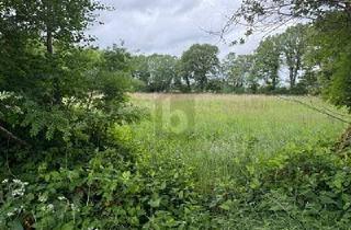 Grundstück zu kaufen in 25355 Lutzhorn, IDEAL FÜR FREIZEIT IN DER NATUR