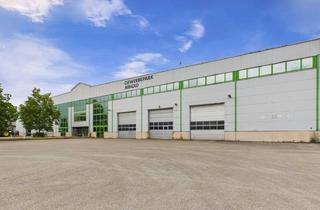 Büro zu mieten in 91732 Merkendorf, Lagern oder Produzieren und Entwickeln - großzügige Hallen wahlweise mit Büro- und Sozialräumen