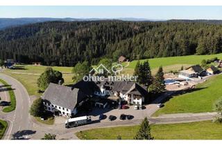 Wohnung kaufen in Hinterschützenbach 24, 78120 Furtwangen, 12 teilmöb. Einzelwhgen & 3 Haus-Grundstücke in naturnaher Lage mit wunderv.Ausblick & Garten