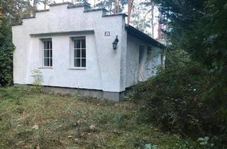 Haus kaufen in 06773 Gräfenhainichen, Gräfenhainichen - Ferienhaus massiv, Nähe Bergwitzsee