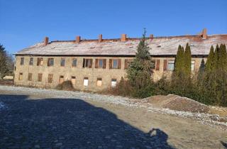 Mehrfamilienhaus kaufen in 39397 Gröningen, Gröningen - Mehrfamilienhaus, Gröningen