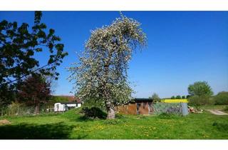 Haus kaufen in 17168 Jördenstorf, Jördenstorf - für Natur- und Tierfreunde - Haus im Grünen m. 4100 m² Grundstück