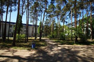 Wohnung mieten in Kranichweg 13, 06917 Jessen, Jessen (Elster) - ++ Große 2-Raumwohnung für Singles oder Paare++