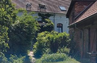 Haus kaufen in 16269 Wriezen, Wriezen - Hofstelle in Altwriezen mit Nebengelass