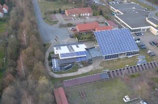 Haus kaufen in 27232 Sulingen, Sulingen - Wohnhaus mit 120 KW PV und Hallen, 3000 qm