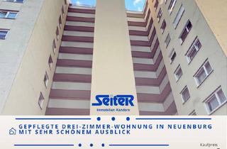 Wohnung kaufen in 79395 Neuenburg, Neuenburg am Rhein - Gepflegte Drei-Zimmer-Wohnung in Neuenburg mit tollem Ausblick