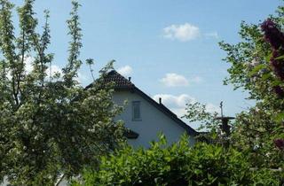 Einfamilienhaus kaufen in 04860 Torgau, Geheimtipp! Wohnen in grüner Lage * sonnige Terrasse & Garten* PV-Anlage für autarke Stromversorgung
