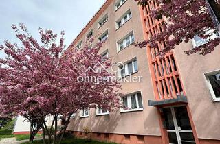 Wohnung mieten in 06849 Dessau-Roßlau, Renovierte und helle 1-Zimmer-Wohnung mit Duschbad