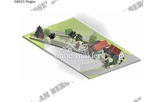 Grundstück zu kaufen in 04523 Pegau, Bauernhof mit Garten Wohnhaus Scheune