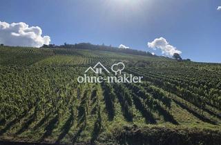 Wohnung mieten in 76534 Baden-Baden, Rebland mit Rheintalblick