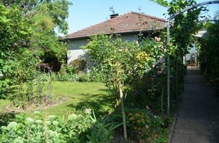 Haus kaufen in 74629 Pfedelbach, Gepflegter Winkelbungalow mit Garage