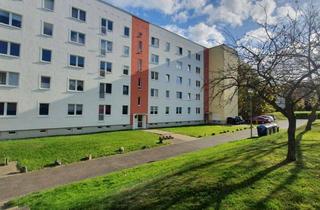 Wohnung mieten in Am Hirschberg, 04668 Grimma, Neu sanierte 3-Raumwohnung mit Balkon