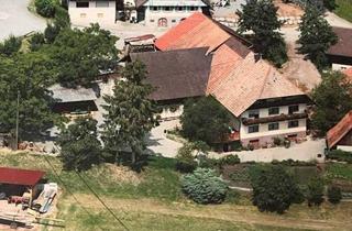 Haus kaufen in 77723 Gengenbach, Traditionelles Schwarzwaldanwesen mit Weitblick