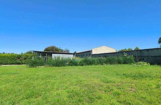 Grundstück zu kaufen in 15374 Müncheberg, Müncheberg: Bauträgerfrei - Wunderschönes Baugrundstück in naturnaher Umgebung