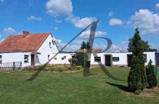 Einfamilienhaus kaufen in 39615 Werben, Werben - Wohnen auf dem Land, Einfamilienhaus mit Bauland - Back to the roots