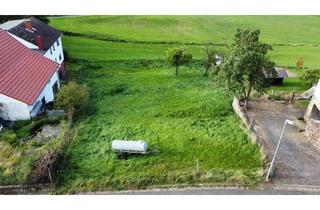 Haus kaufen in 34630 Gilserberg, Gilserberg - Sie lieben Sonne und viel Licht? Dann ist dies Ihr energiesparendes Town & Country Haus in Gilserberg OT Sebbeterode