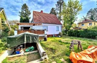 Einfamilienhaus kaufen in 14480 Potsdam, Potsdam - Wohnen mit Lebensqualität: Einfamilienhaus in Potsdam mit Garten & Pool - provisionsfrei