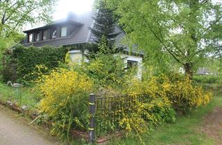 Haus kaufen in 22955 Hoisdorf, Hoisdorf - Hoisdorf, Haus mit Werkstatt , Natur Grundstück