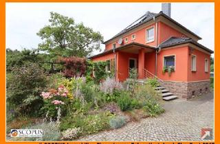 Einfamilienhaus kaufen in 01662 Meißen, Meißen - Gepflegtes Einfamilienhaus (Einliegerwohnung möglich) in beliebter grüner Lage von Meißen angrenzend an das Spaargebirge