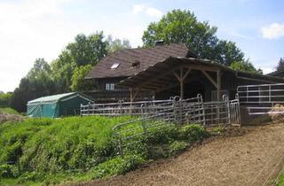 Bauernhaus kaufen in 51570 Windeck, Windeck - BAUERNHOF 4 Hektar am Haus - RARITÄT Autark und mit Tieren leben