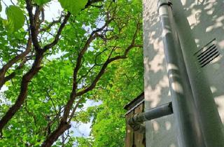 Einfamilienhaus kaufen in 95691 Hohenberg, Hohenberg an der Eger - Einfamilienhaus für Visionäre