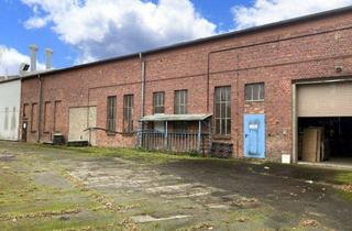 Geschäftslokal mieten in Chausseestraße 41, 18356 Barth, Hallen-, Produktions- und Lagerflächen 250m² in Barth - 23km zum Fischland-Darß | Zingst/Prerow