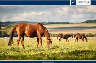 Immobilie kaufen in 49186 Bad Iburg, Traumhafter Pferdehof in idyllischer Alleinlage