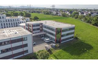 Büro zu mieten in 68219 Mannheim, Lichterfüllte Mietfläche - Optimal für Büro- oder Schulungsräume