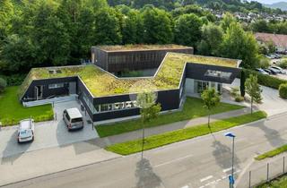 Büro zu mieten in 79295 Sulzburg, Zur Miete: Moderne & repräsentative Bürofläche in guter Lage in Sulzburg