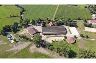 Lager kaufen in 27339 Riede, Prämierte und topgepflegte Reitsportanlage mit guter Anbindung in Riede!