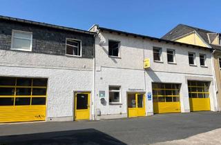 Anlageobjekt in 01683 Nossen, Gewerbe- und Wohngrundstück in sehr gepflegtem Zustand in Nossen