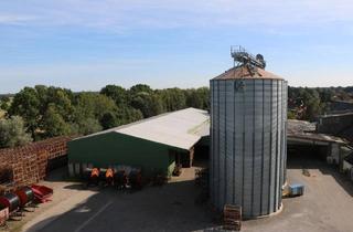 Gewerbeimmobilie kaufen in 38539 Müden, Landwirtschaftlicher Produktionsbetrieb // Gewerbegrundstück / Wohnbaugrundstück +++