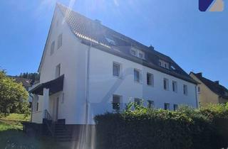 Wohnung mieten in Drosselweg 27, 58840 Plettenberg, Plettenberg-Ohle: Modernisierte 2-Zimmer-Wohnung im Erdgeschoss