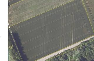 Immobilie kaufen in 85452 Moosinning, "WERTVOLLES ACKERLAND - SEHR GUT ERREICHBAR"