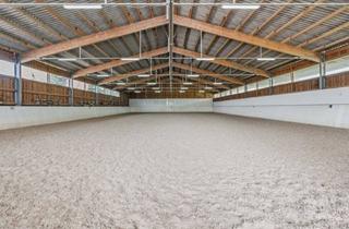 Haus kaufen in 87755 Kirchhaslach, Exklusive Reitanlage mit drei Wohnhäusern, Reithalle und hochwertiger Ausstattung