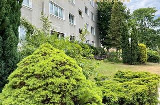 Wohnung mieten in 29223 Celle, Lichtdurchflutete Ruheoase mit Luxus-EBK!