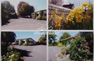 Lager kaufen in Bundesstrasse, 59505 Bad Sassendorf, Top Betriebshof mit Büro + Halle mit Kühlhaus + 5 Garagen etc. !