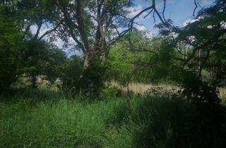 Grundstück zu kaufen in 04838 Eilenburg, SHAREDEAL - ca. 4,5 ha großes Grundstück mit Bestandsgebäuden