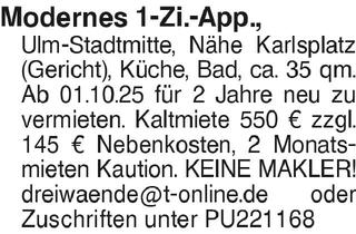 Wohnung mieten in 89073 Mitte, Modernes 1-Zi.-App., Ulm-Stadtmitte