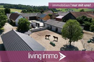 Haus kaufen in 94491 Hengersberg, Gepflegtes Reiteranwesen mit schönem Wohnhaus und ca. 5,4 Hektar Grund in toller Lage