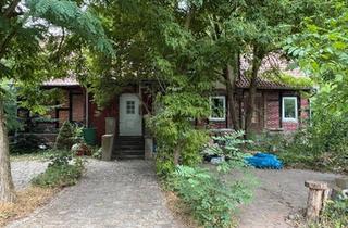 Haus kaufen in 39343 Erxleben, Erxleben - Haus in Alleinlage Wald mit Scheue zwischen Wolfsburg + Magdeburg