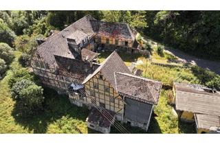 Haus kaufen in 35745 Herborn, Herborn - Historische Walzenmühle in Herborn-Seelbach