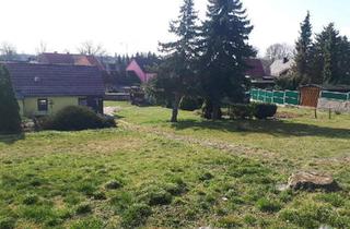Haus kaufen in 39444 Hecklingen, Hecklingen - Grosses Grundstück mit kleinem sanierungsbedürftigen Haus