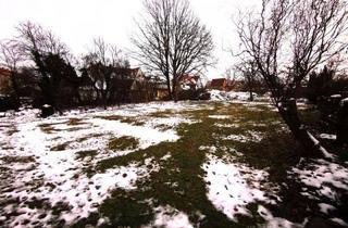 Grundstück zu kaufen in 02681 Wilthen, Günstiges Pacht-Grundstück in Wilthen