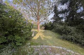 Haus kaufen in 04889 Schildau, Schildau - IDYLLISCHER RÜCKZUGSORT AM SEE