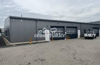 Büro zu mieten in 41836 Hückelhoven, Gewerbehalle Lagerhalle teilbar 240 bis 720 qm neuwertig wärmegedämmt