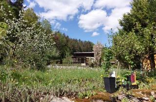 Haus kaufen in 36433 Bad Salzungen, Bad Salzungen - Garten, Schrebergarten, Pachtgarten am Grundhof in Bad Salzungen