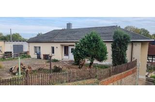 Einfamilienhaus kaufen in 06729 Elsteraue, Elsteraue - Einfamilienhaus in 06729 Reuden