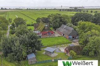 Haus kaufen in 25599 Wewelsfleth, Wewelsfleth - Charmantes Reetdach-Anwesen nahe der Elbe - Wohnen, Ferienvermietung & Pferdehaltung auf 10.480 m² Grdst.