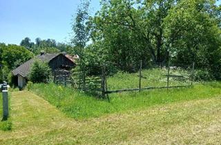 Bauernhaus kaufen in 84489 Burghausen, Burghausen - Obernzell: Bauernhaus Sacherl Haus Ferienhaus 800 qm Grund